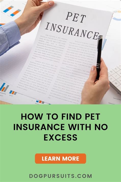 pet insurance no excess fee.